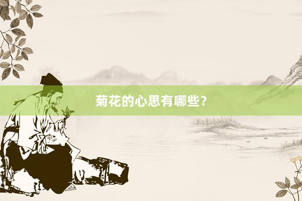 菊花的心思有哪些?